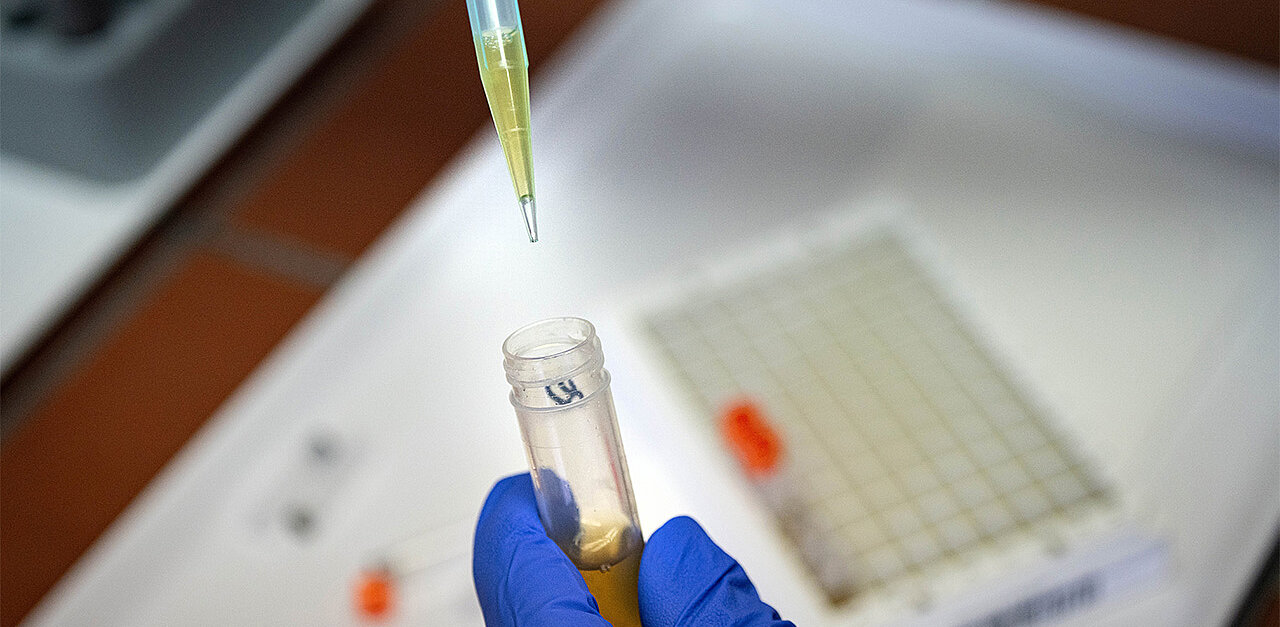 Picture of the News article protecing.health starts its global 10+ year cohort program